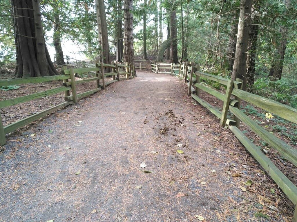 Big Rock Trail