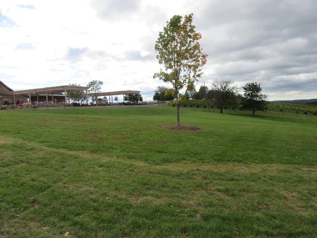 Family-Friendly Atmosphere