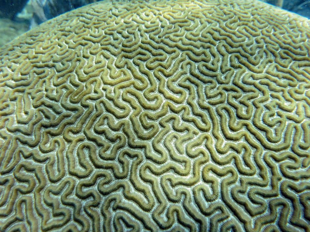 Interactive Kids' Area