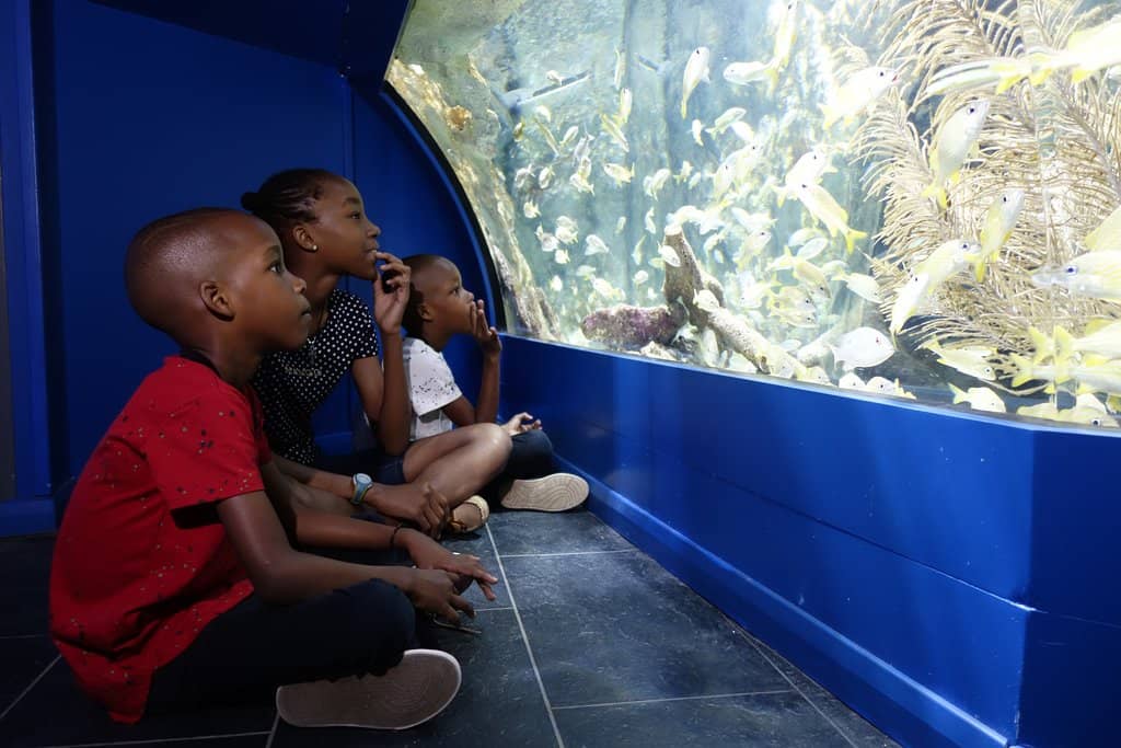 Local Marine Ecosystem