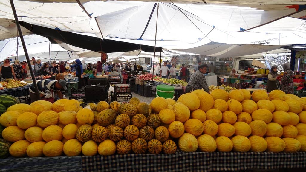 Bargain Hunting for Goods