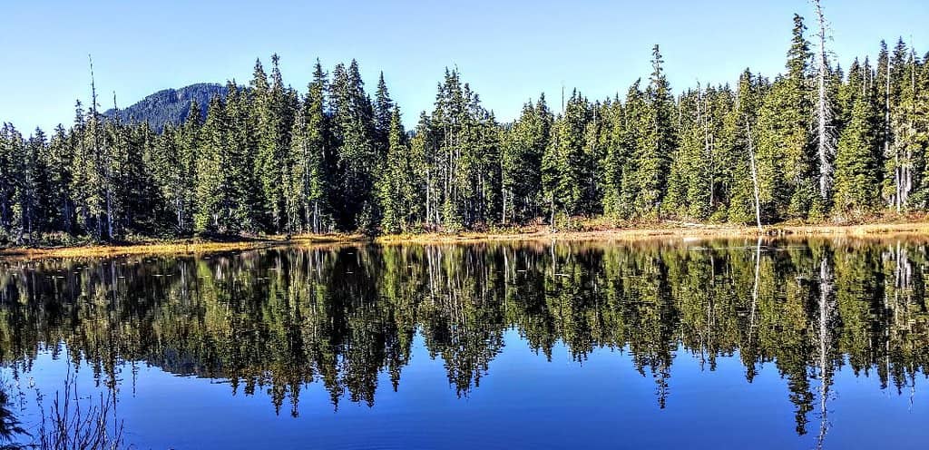 Crest Mountain Trail