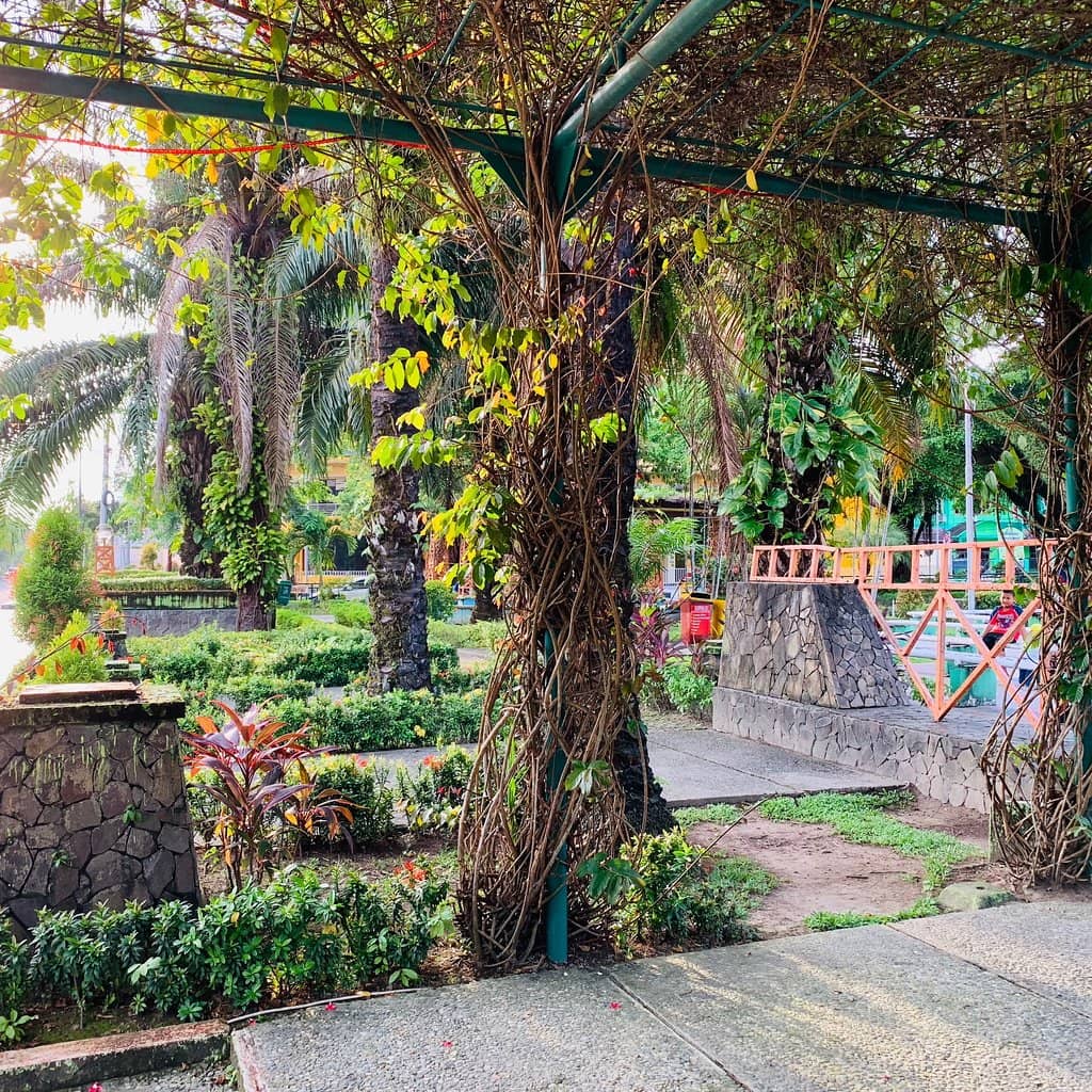 Green Oasis for Strolls