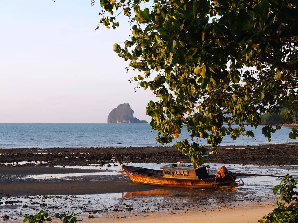 Stunning Beach Views