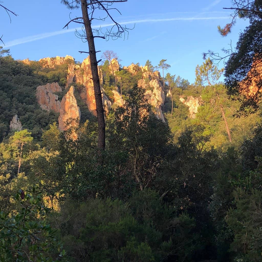 Vertical photo
