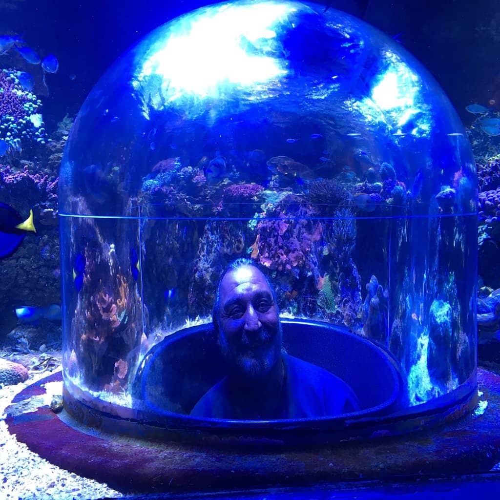 Aquarium & Touch Pool