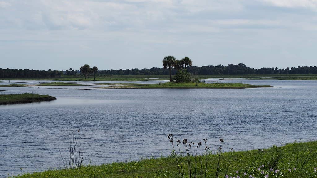 Lake Charlie Picnic Area