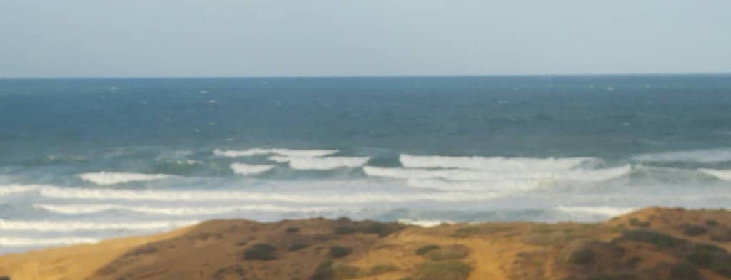 Vertical photo