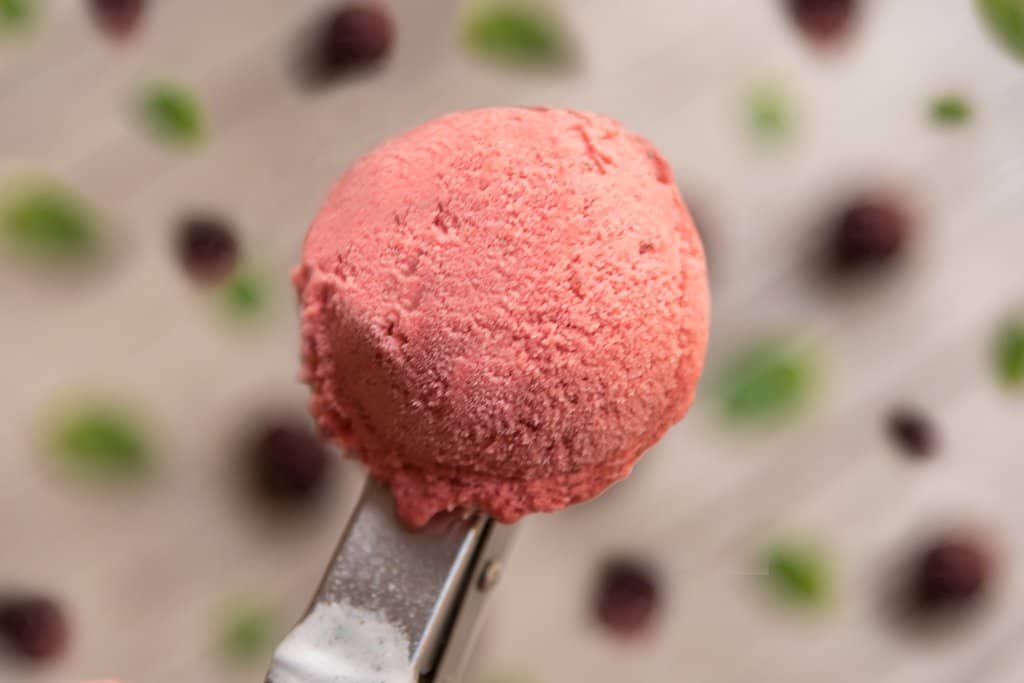 Zacapa Rum Infused Delight