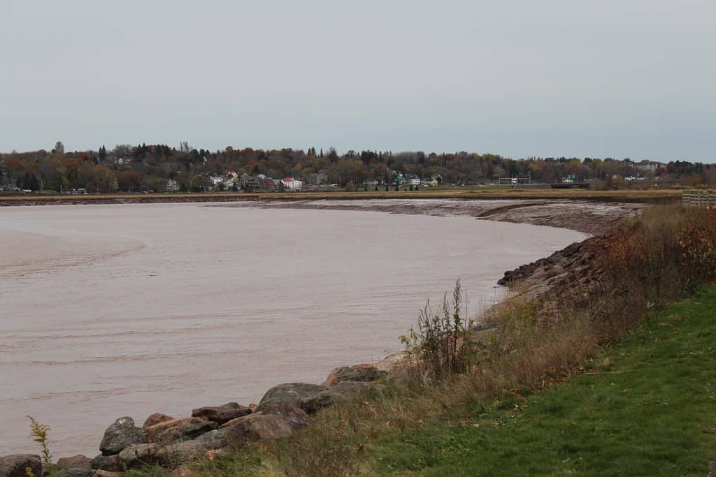 Bore Park Viewing Area