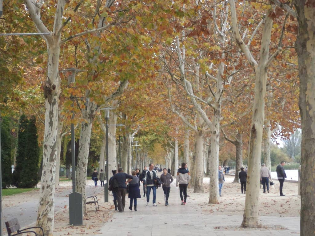 Tagore Promenade