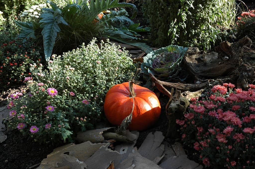 Whimsical Wooden Carvings