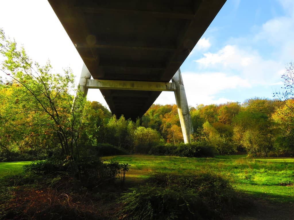Play Park & Maple Garden
