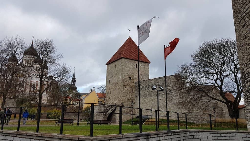 Cafe in the Tower