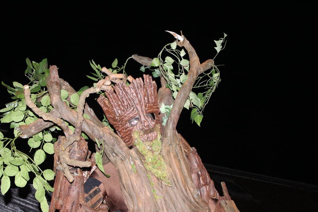 Riverside Walks & Scenery