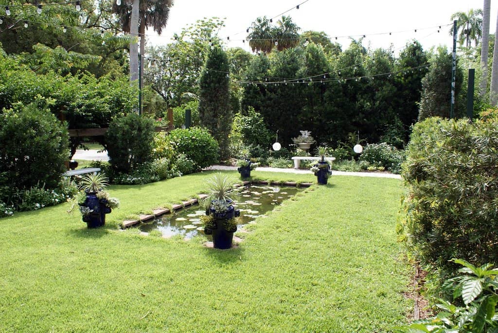 Historic Oak-Lined Streets