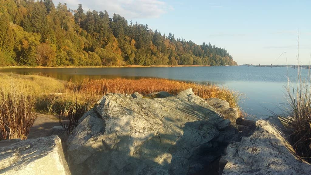 Wreck Beach Drum Circle