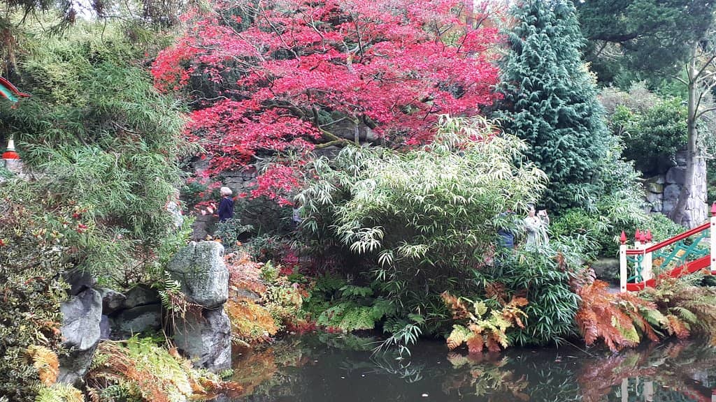 The Enchanting China Garden