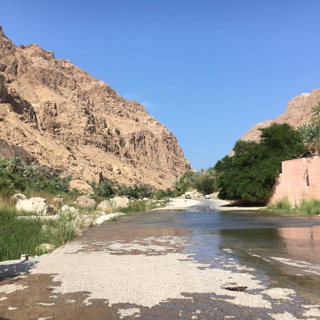 Rock Climbing and Swimming