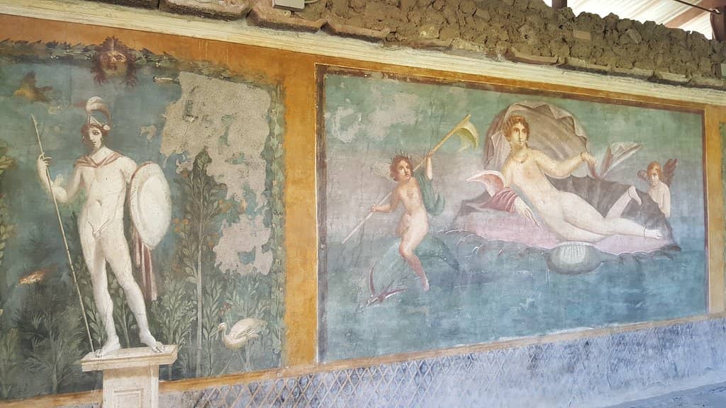 Venus in a Shell Fresco