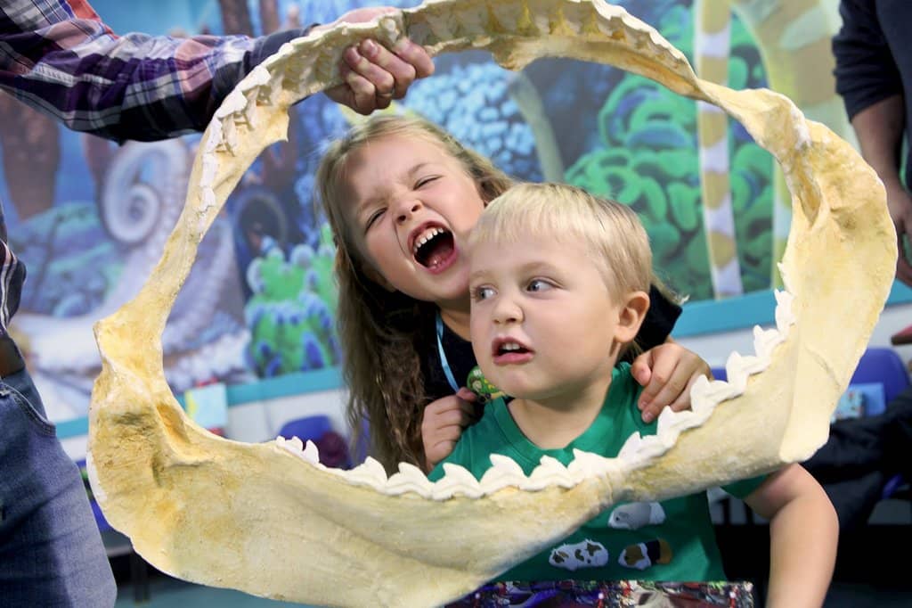 Turtle Beach 3D Show