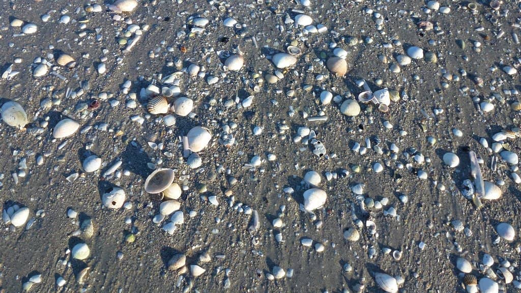 Crystal Clear, Refreshing Waters