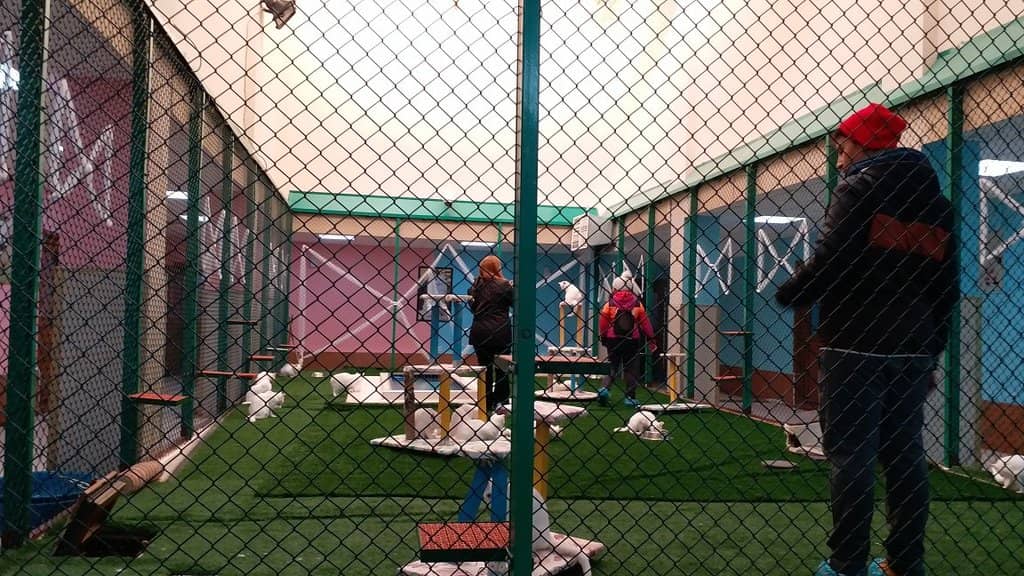 Interactive Feeding Experience