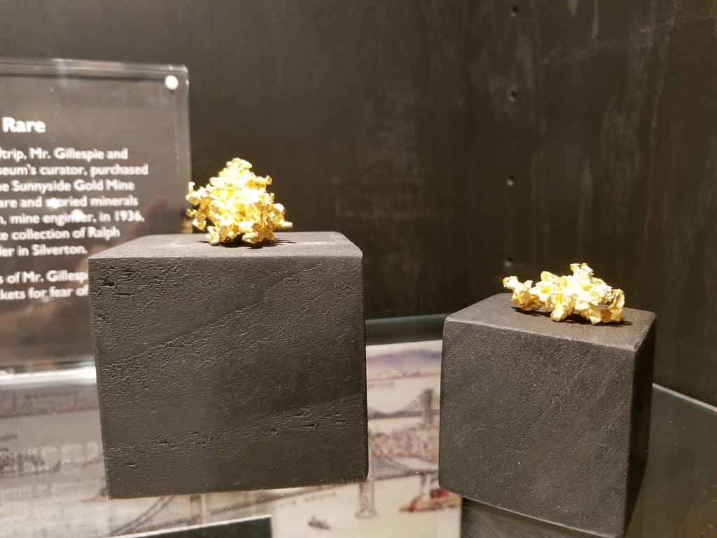 Interactive Exhibits