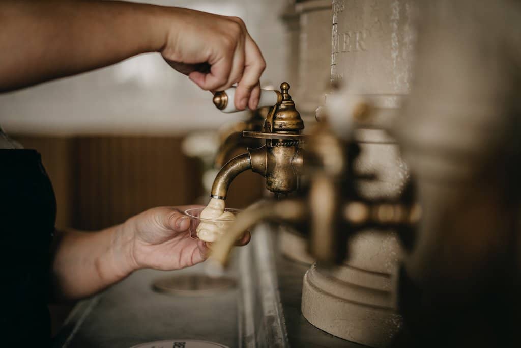 Flemish Beef Stew Fries