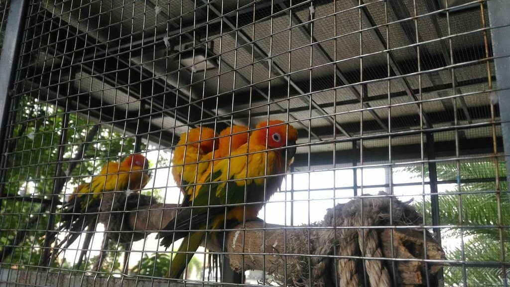 Philippine Biodome