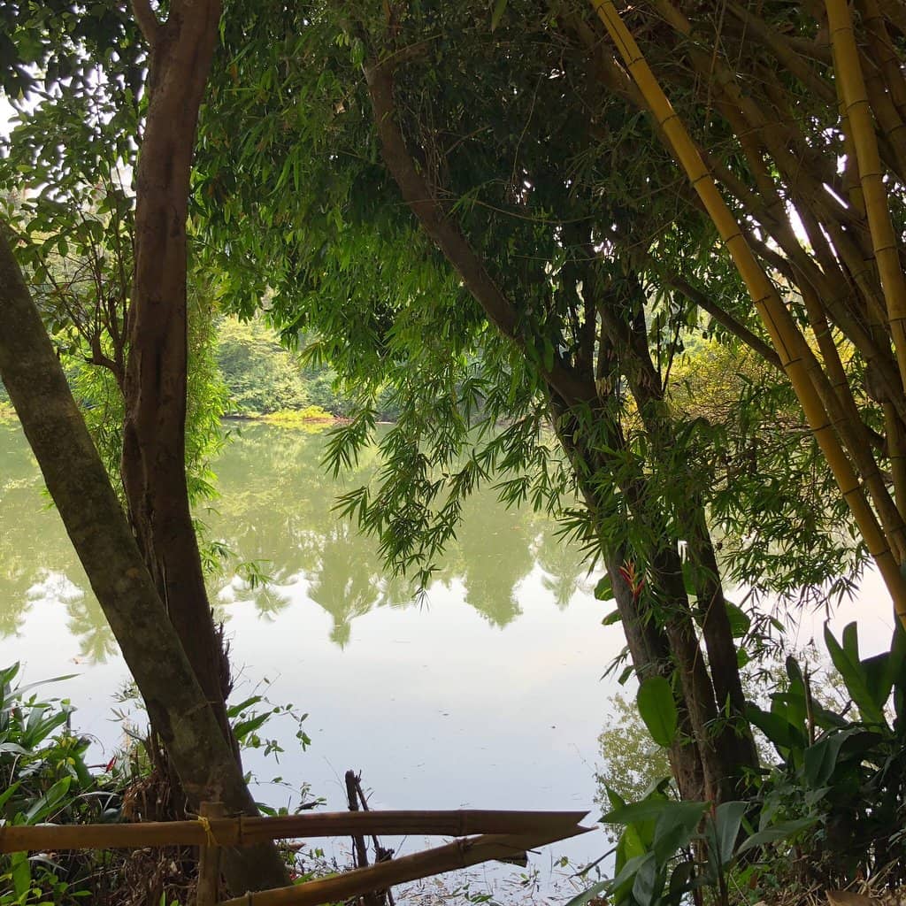 Well-Maintained Gardens