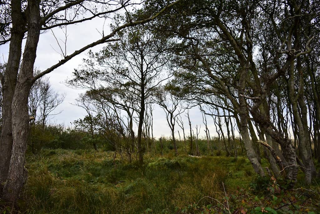 Ecomare Nature Museum