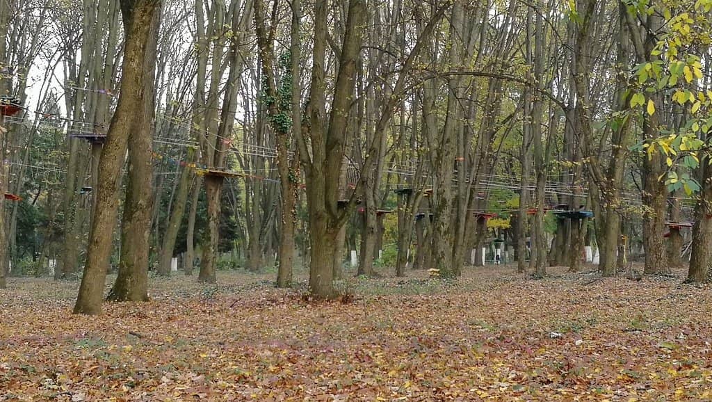Mineral Water Fountain