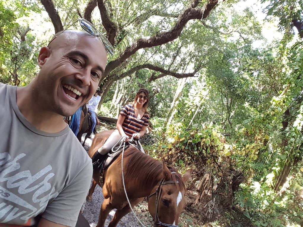 Connecting with Well-Cared-For Horses