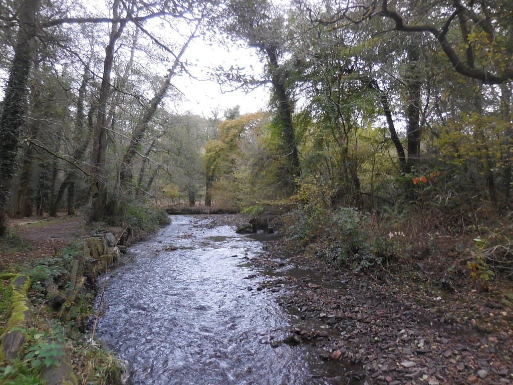 Riverside & Wetland Walks