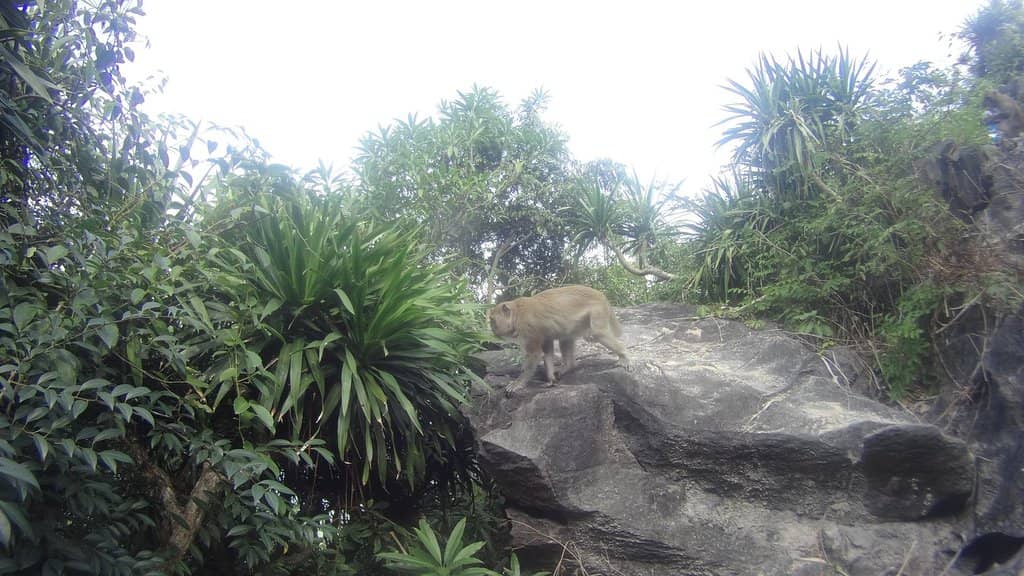 Secret Viewpoint Climb