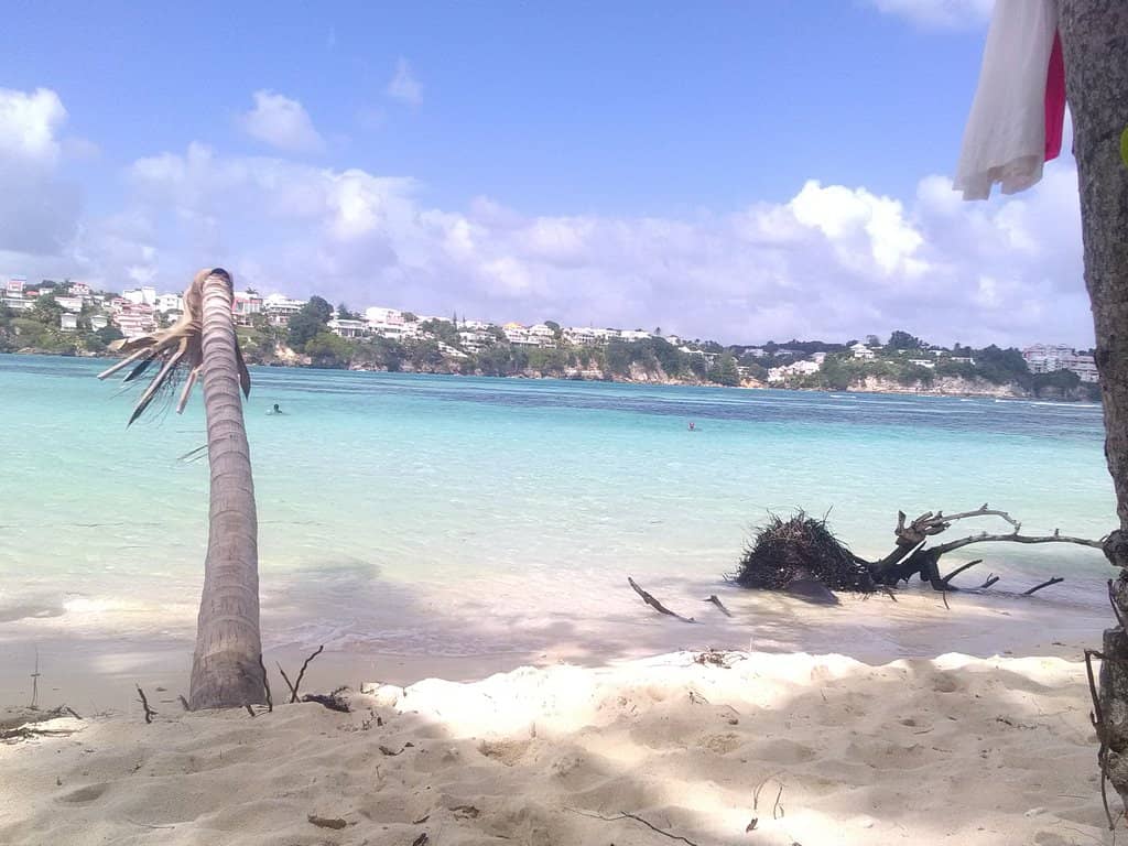 Snorkeling Adventures