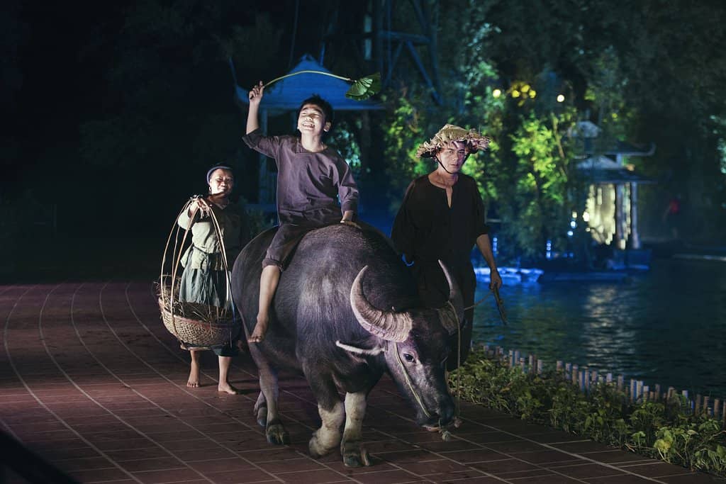 Third hero image