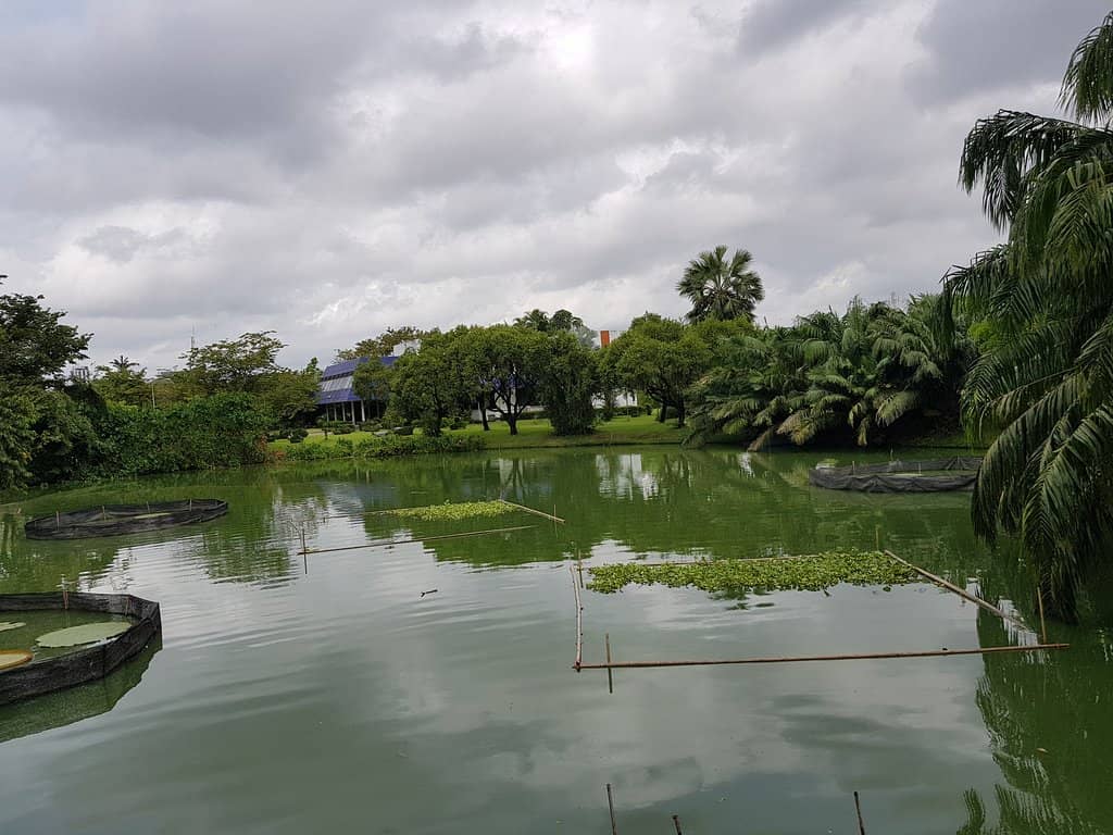 The Botanical Gardens