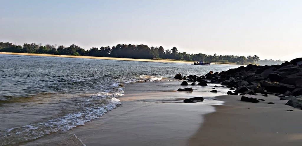 Pristine Shores