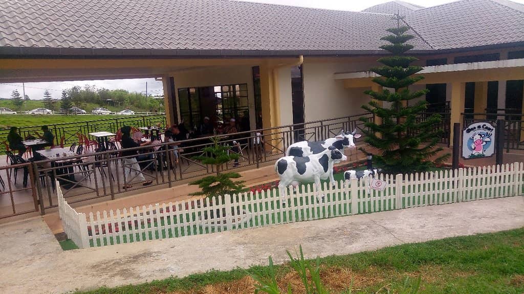 Fresh Milk & Ice Cream