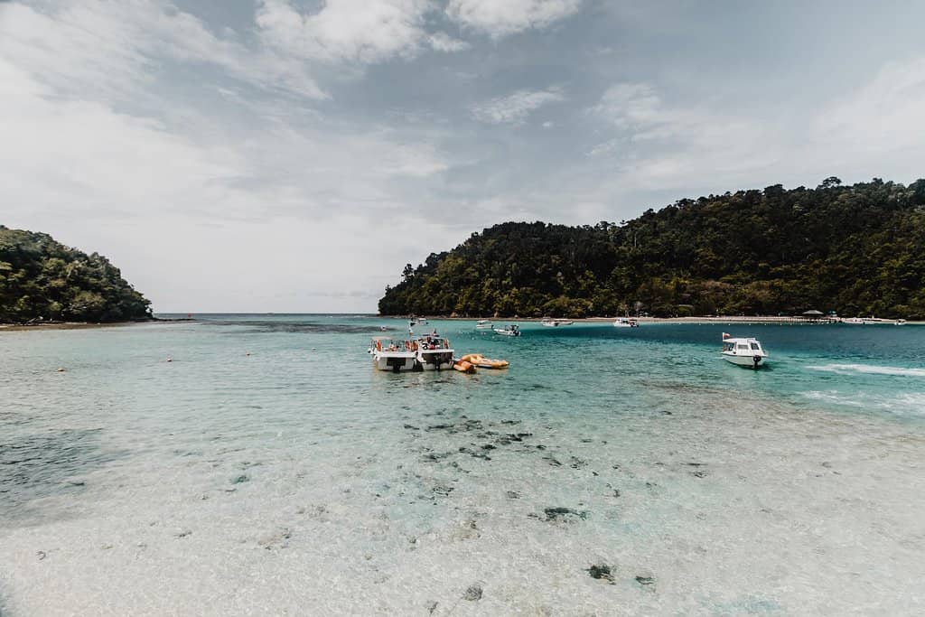 Abundant Marine Life