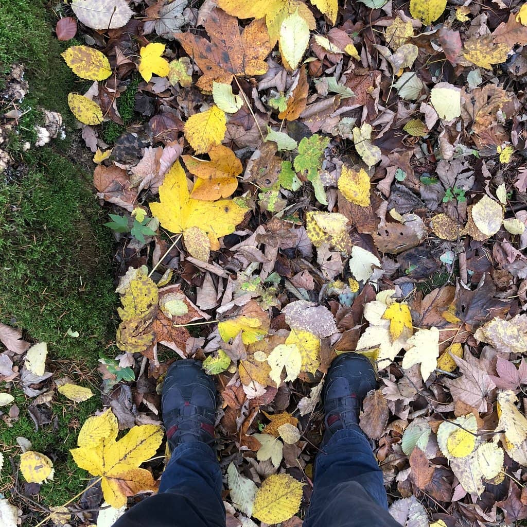 Ancient History at Clay Cliffs