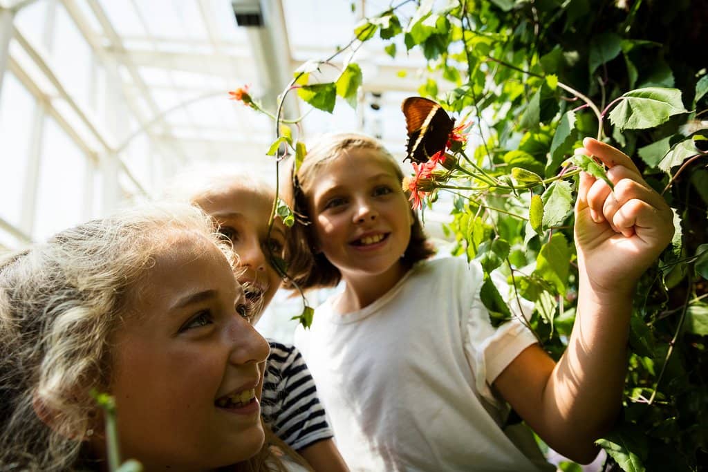 Interactive Kids' Play Areas