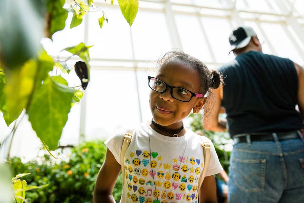 My Journey into the Wilds of Chicago Exhibit