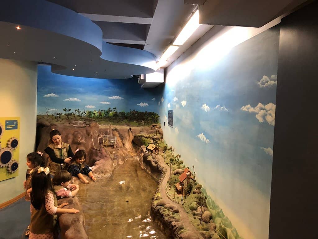 Fossil Displays