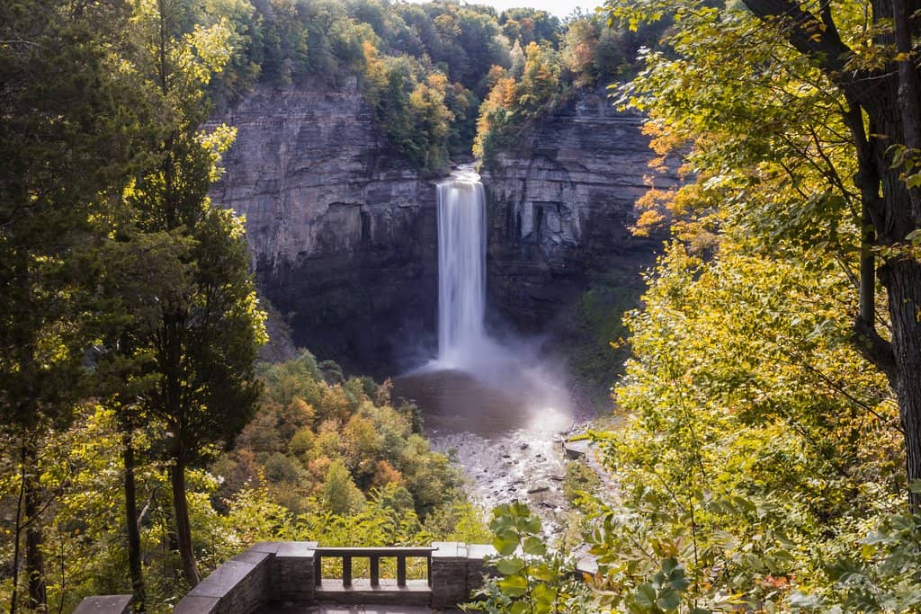 Towering Gorge Walls
