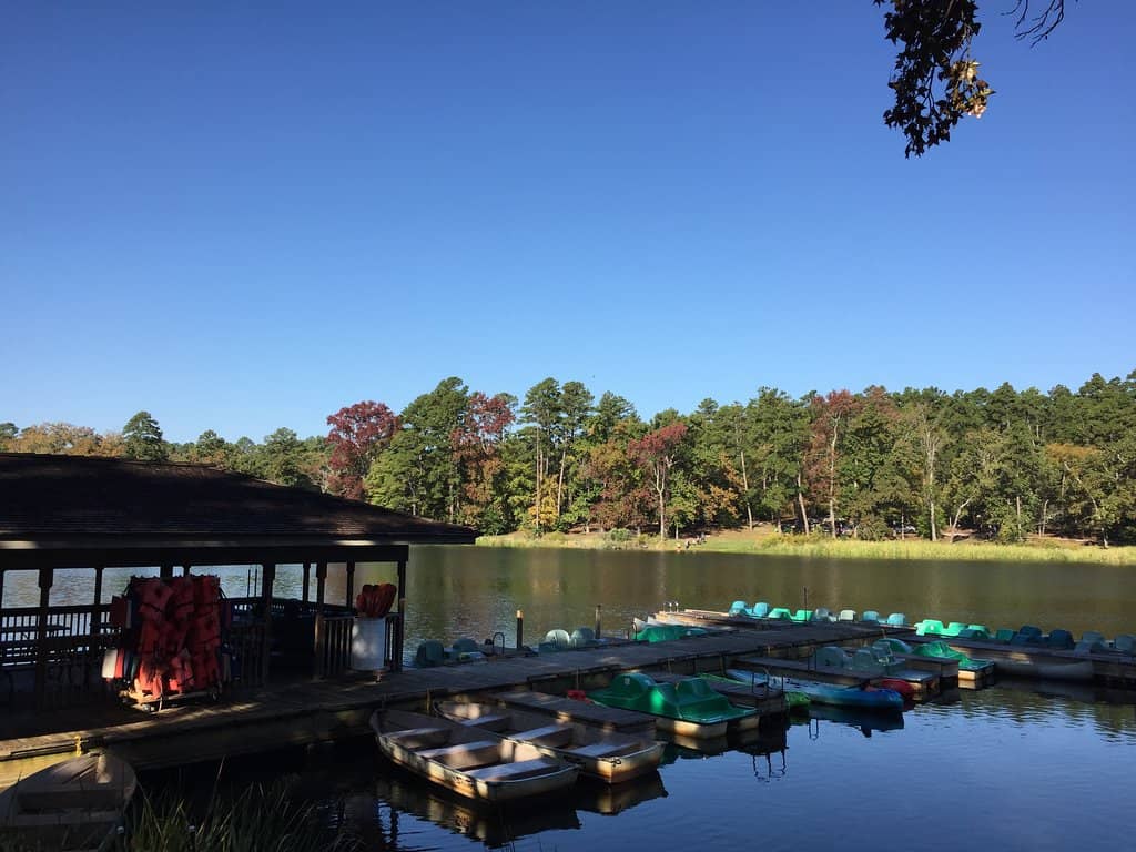 Designated Swim Area