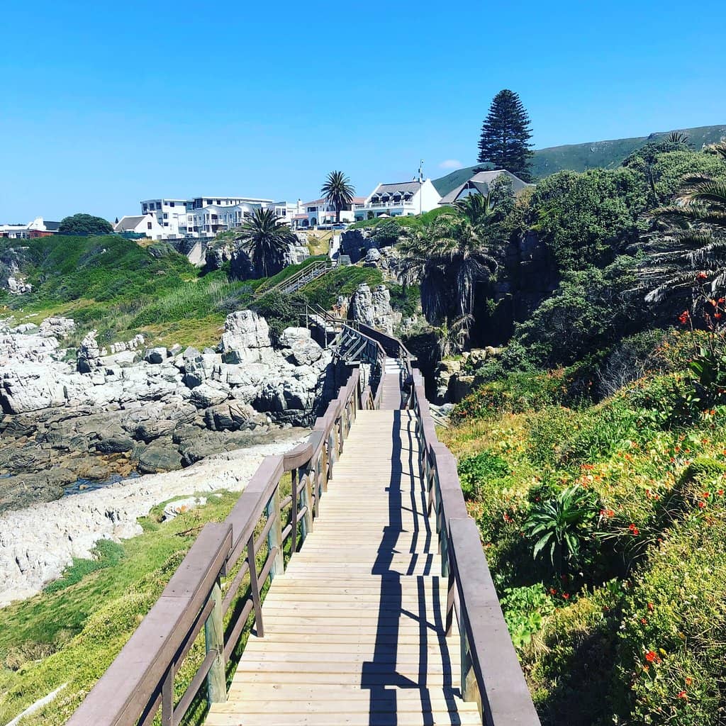 The Scenic Cliff Path