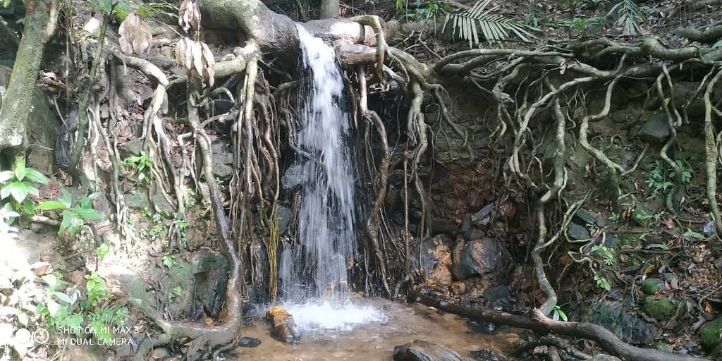 The Golden Peak Viewpoint
